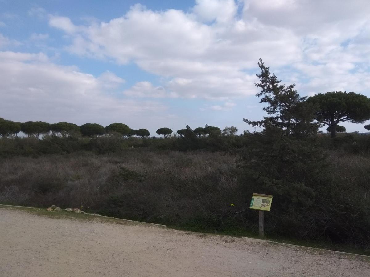 Tu Denscanso En Valdelagrana Frente Al Mar El Puerto de Santa María Εξωτερικό φωτογραφία